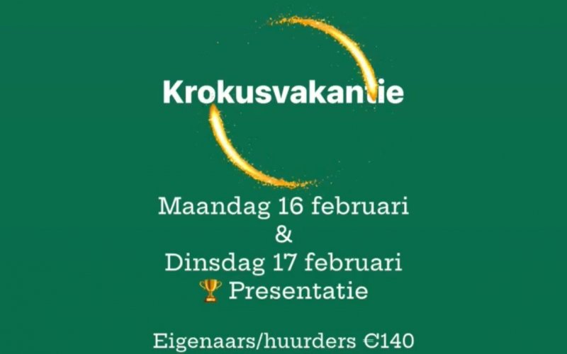 Krokusvakantie 'Horsemanship' 2-daagse STAGE - Eigenaars/huurders