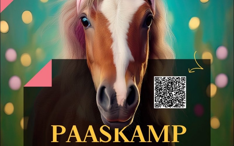 Paaskamp - 14 april tem 17 april 2025 - inlusief daguitstap pretpark - Pensionklanten 160 Euro