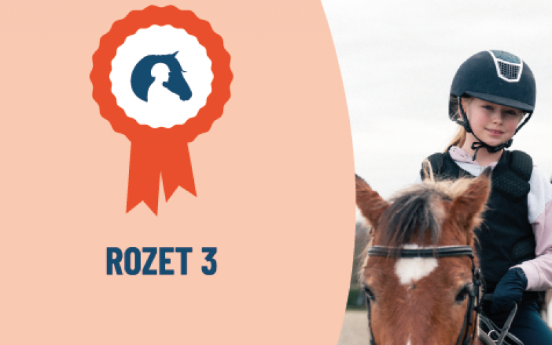 Zomerkamp 2 Rozet 3 - 7 juli tem 11 juli 2025 - Inclusief huur pony/paard 380 Euro