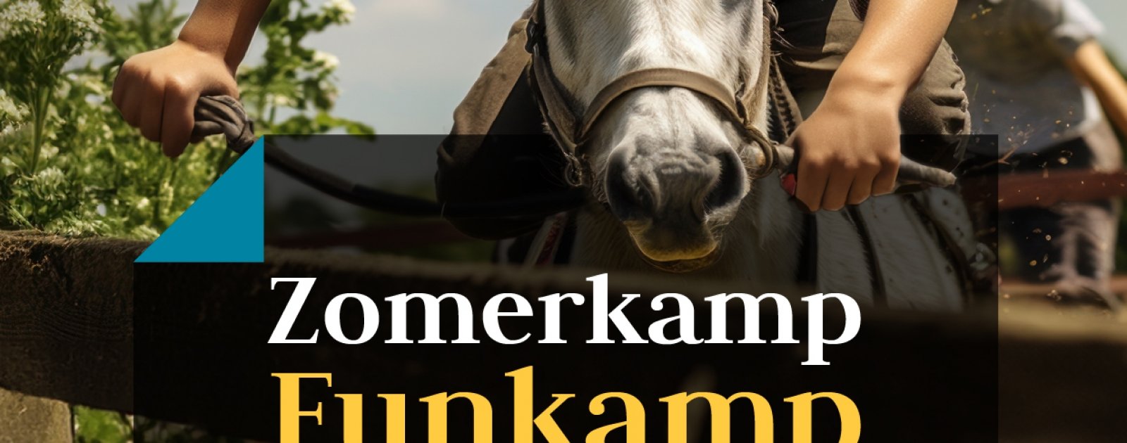 Zomerkamp 3 Funkamp - (14 - 17 juli) Pensionklanten 160 Euro