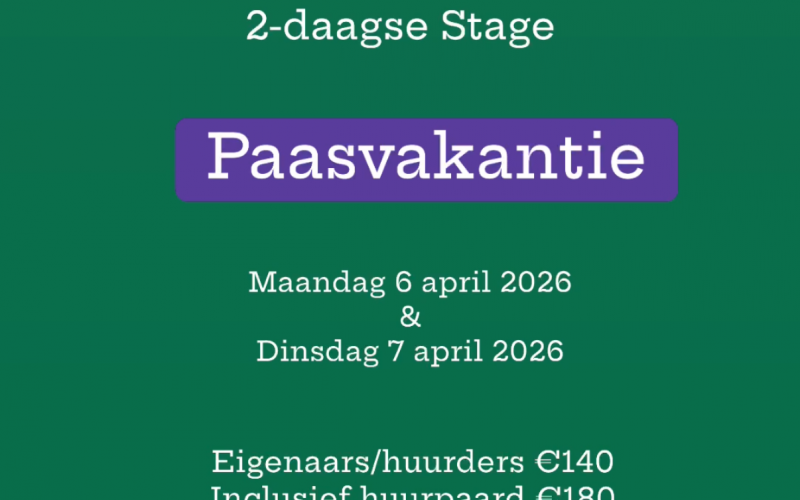 Paasvakantie 'Horsemanship' 2-daagse STAGE - Eigenaars/huurders
