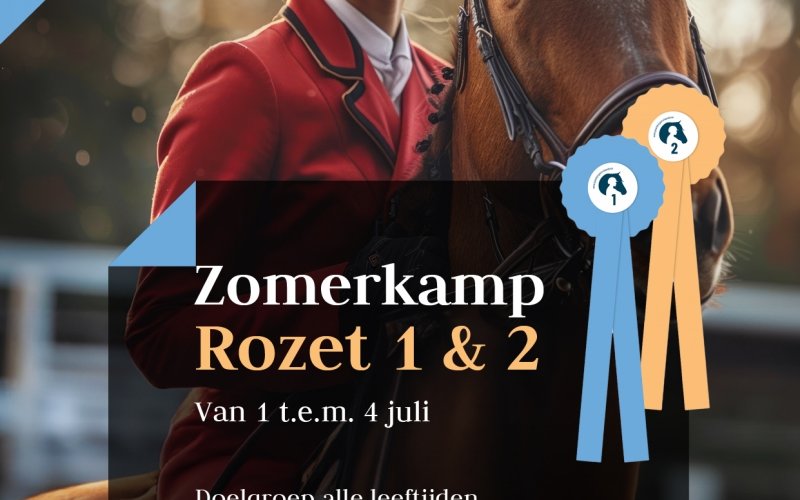 Zomerkamp 1 Rozet 1&2 - 1 juli tem 4 juli 2025 - inclusief huur pony/paard 300 Euro