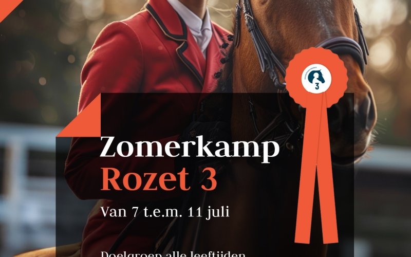 Zomerkamp 2 Rozet 3 - 7 juli tem 11 juli 2025 - Pensionklanten 280 Euro